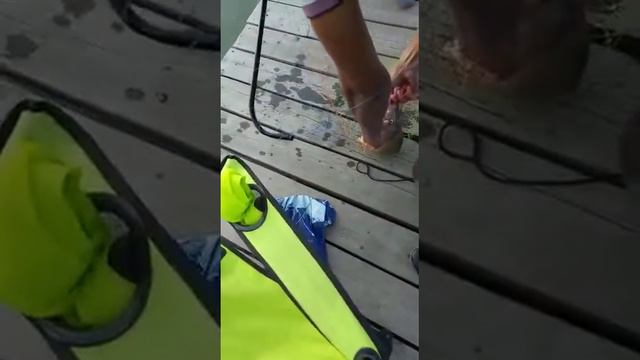 Вот это называется рыба смотреть онлайн