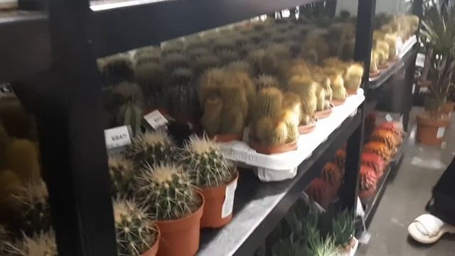 Наш выходной) смотреть онлайн