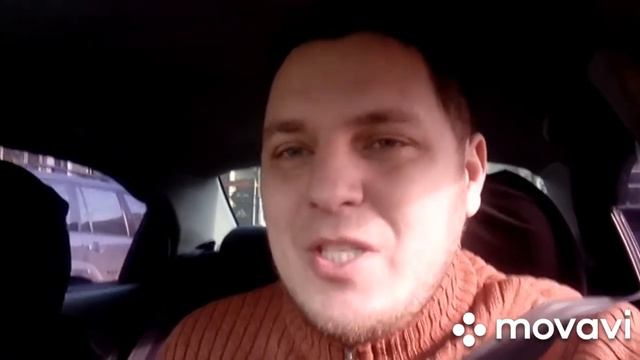 В мире Животных смотреть онлайн