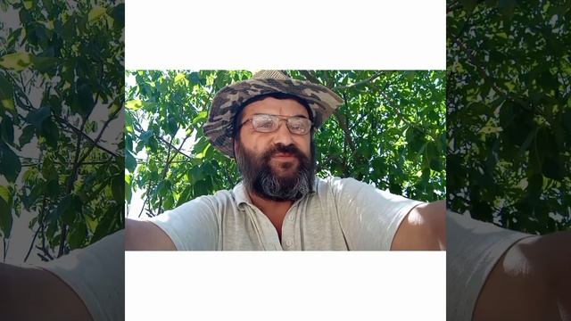 ВЫБОР БОЛОТНЫХ БОБРОВ НА ПЛЕМЯ. смотреть онлайн