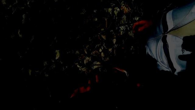 Рыбалка в Саратовской области. #рыбалканащуку #volgaspintv #veterok #чардымскиехроники #fishing