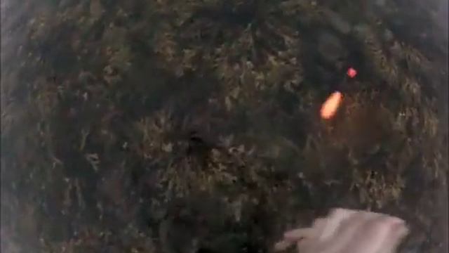 Tag med på morgentur efter havørred som falder for gulp og blink смотреть онлайн