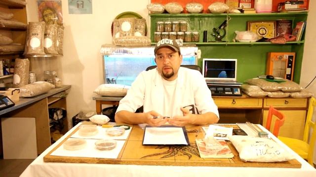 выращивание вешенки, очень полезные советы 2 смотреть онлайн