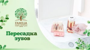 ➡ Пересадка зубов - возможно ли это?