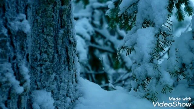 И вот опять пришла холодная зима... Заснеженная сибирская тайга. смотреть онлайн