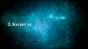 К чему снится белая крыса - Онлайн Сонник Эксперт
