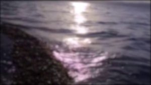 Мое сердце ты