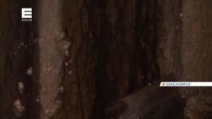 В красноярской многоэтажке на второй Огородной начал разрушаться фундамент