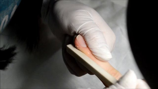 Матовое покрытие [GERBERA] смотреть онлайн