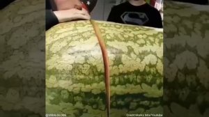 Самый большой арбуз в мире