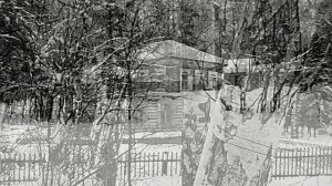 1978 год. Тюменский район. Зима. Кинозарисовка "Зимние узоры".