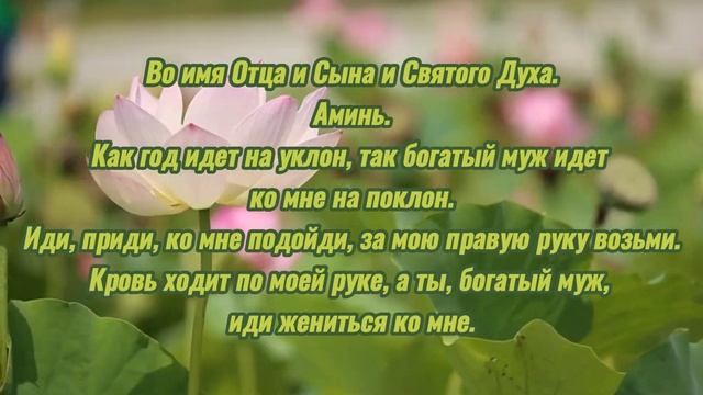 Выйти за богатого замуж?♀️ #magic #love #mariage #rich #выйтизамуж  #магия #заговор #любовнаямагия