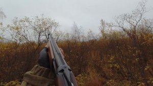 ВОТ ЭТО ВЫСТРЕЛЫ!!! С МЕСТА ВЗЯЛИ ЧЕТЫРЕ ШТУКИ! ОХОТА НА УТКУ С ПОДХОДА. ОСЕННЯЯ ОХОТА В ТАЙГЕ КОМИ