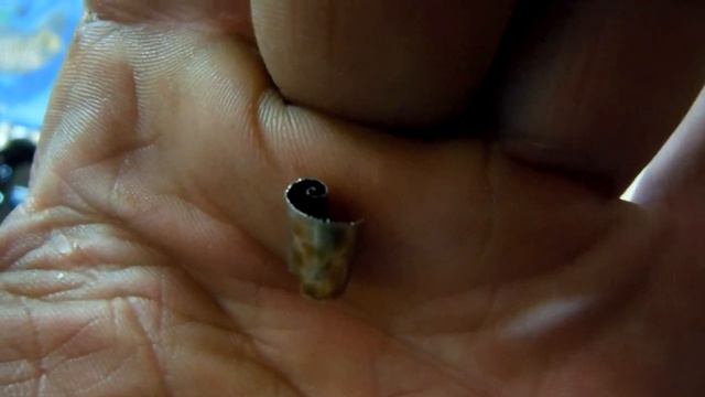 Мазда СХ-7 ГРМ и снова стружка в поддоне (Омск) смотреть онлайн