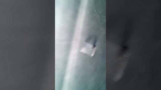 Прикол с тараканом смотреть онлайн