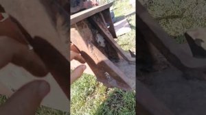 Промопора карданного вала пресс Сипма.