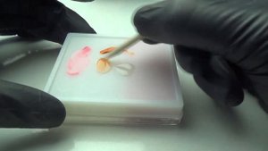 Витражные гель лаки из подручных средств.  Как сделать самой.