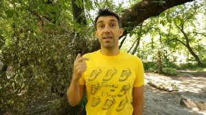 Как повысить уровень МПК (максимальное потребление кислорода)