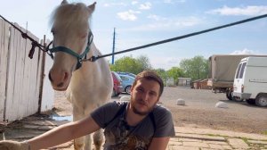 Школы натуральной расчистки. Условия эффективности. Основные принципы.