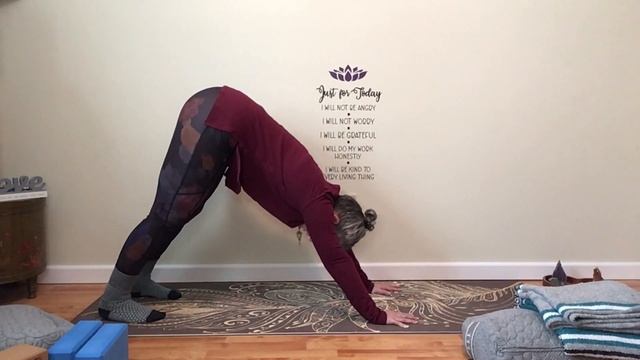 Down Dog Modifications & Variations Demo|Vlog on this month's practices смотреть онлайн