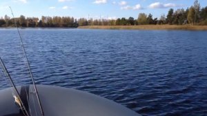 Grace 320 Suzuki df5s после обкатки