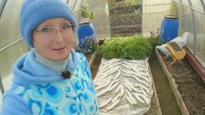 Видео привет с 6 соток 18 октября 2023 года