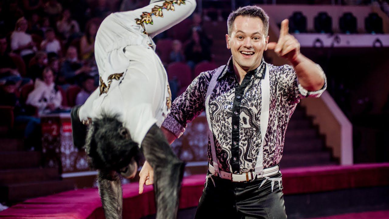 ГОЛОВОКРУЖИТЕЛЬНАЯ ПРЕМЬЕРА! ШИМПАНЗЕ Боня ошеломила зрительный зал цирка Караганды! смотреть онлайн