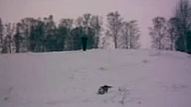 придурок и лыжи.3gp смотреть онлайн