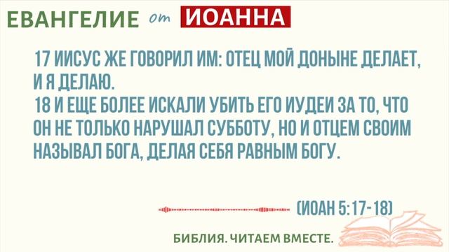 #15 ЕВАНГЕЛИЕ ОТ ИОАННА 5:17-29 /Библия.Читаем Вместе/Библия с Андреевыми/Вера/Бог/Библия Онлайн/