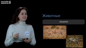 Питание животных. Видеоурок 14. Окружающий мир 3 класс