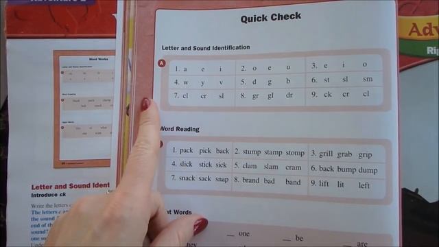 США Чехол Caseology_Делаю Уроки_Что мы Учим из Грамматики на примере 2 класса смотреть онлайн