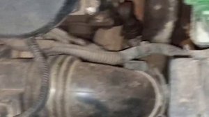 Fiat Linea how to  radiator fan checking