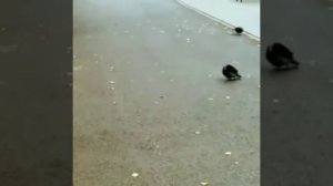 Я приду туда где ТЫ!