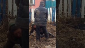 Посхальные МУХИ из села Хомутинка !!!!!