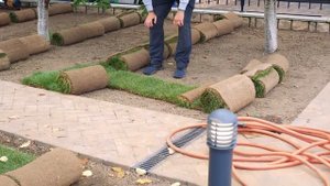 Очень интересный рельеф на участке / Замена старого рулонного газона на новый рулонный газон