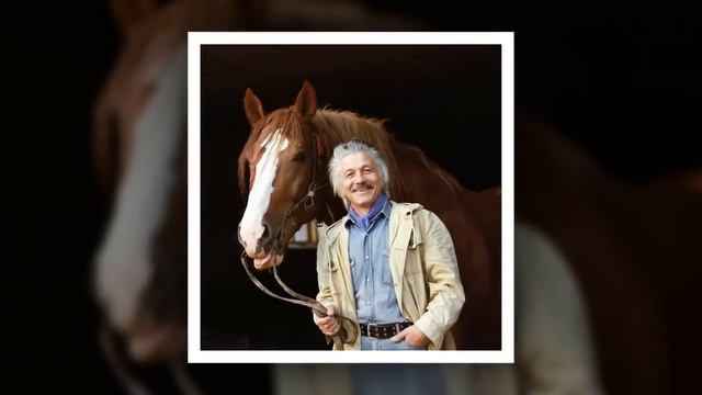 Будулай больше не вернется. Видео памяти светлым героям Михаила Волонтира. смотреть онлайн