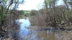 Какие реки в Белгородской области / белгородская область туризм