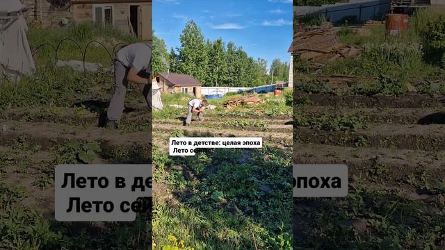 Огород.mp4