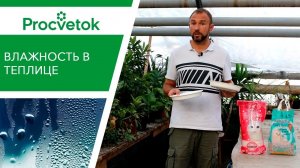 КАПЛИ В ТЕПЛИЦЕ. Уход в августе за томатами, огурцами, перцами