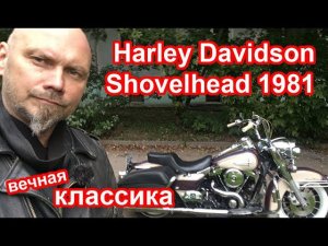 Harley Shovelhead 1981, вечная классика