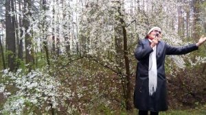 Ехал цыган, на коне верхом