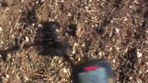 Fisher Gold Bug Pro test