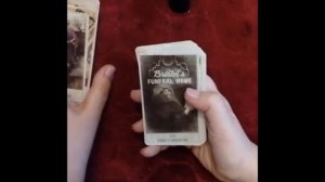 ♠️♦️♣️♥️HooDoo Tarot(Таро худу): обзор колоды♠️♦️♣️♥️