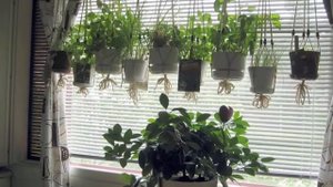 ОСЕНЬ для цветов. Как проветривать без сквозняков, как не навредить растениям?