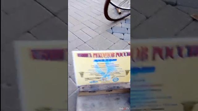 Кубань Краснодар Сергей Дашевский веломастер 2019 Kuban region Sergey Dashevsky Bicyclemaster