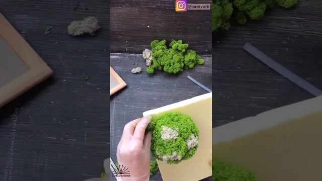 День Земли: мастер-класс по изготовлению картины из мха