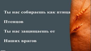 Свят, свят Господь Саваоф и вся земля полна славы Господней