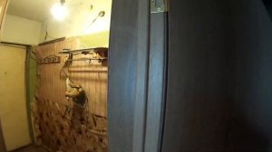 обшиваем стену в прихожей панелями МДФ  "ДУБ НАТУРАЛЬНЫЙ"