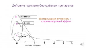 Лечение туберкулеза, часть 2. Основы современной химиотерапии туберкулеза