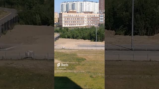Вырубать и спиливать деревья не будут их просто засыпят песком сровняют #Shorts